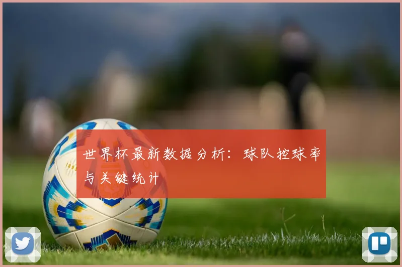 世界杯最新数据分析：球队控球率与关键统计