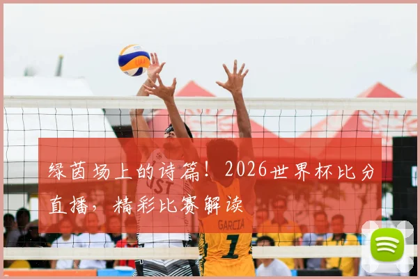 绿茵场上的诗篇!2026世界杯比分直播,精彩比赛解读